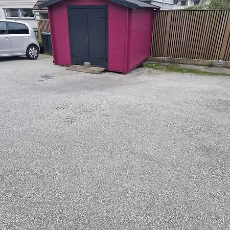 The Pink Googly Eyed House Tjelta