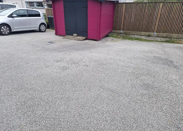 The Pink Googly Eyed House Tjelta